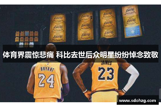 体育界震惊悲痛 科比去世后众明星纷纷悼念致敬